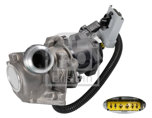 EGR Valve